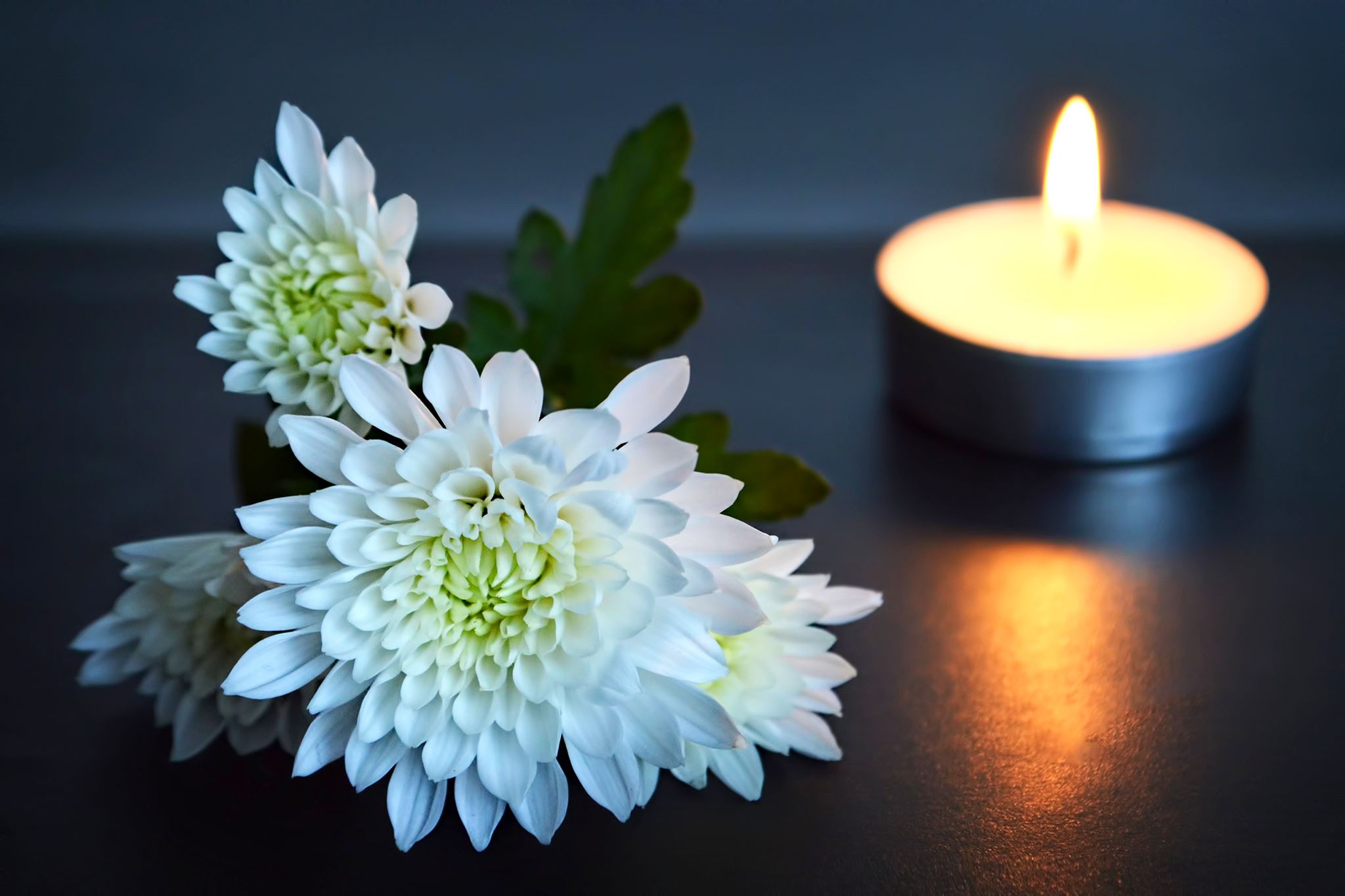 A lit candle and a white flower