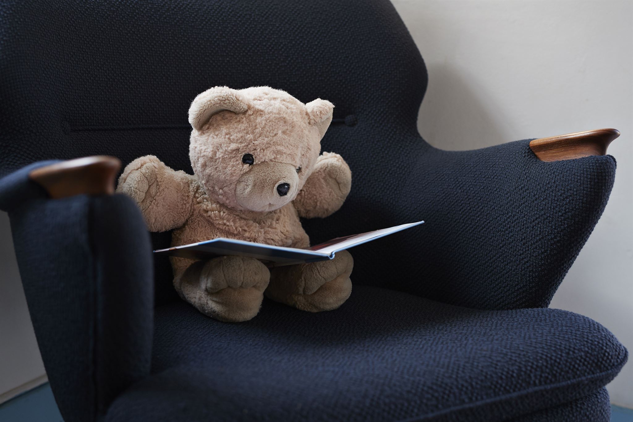 Teddy bear on a sofa